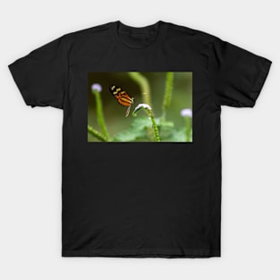 butterfly T-Shirt